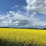 An Der Schlei *